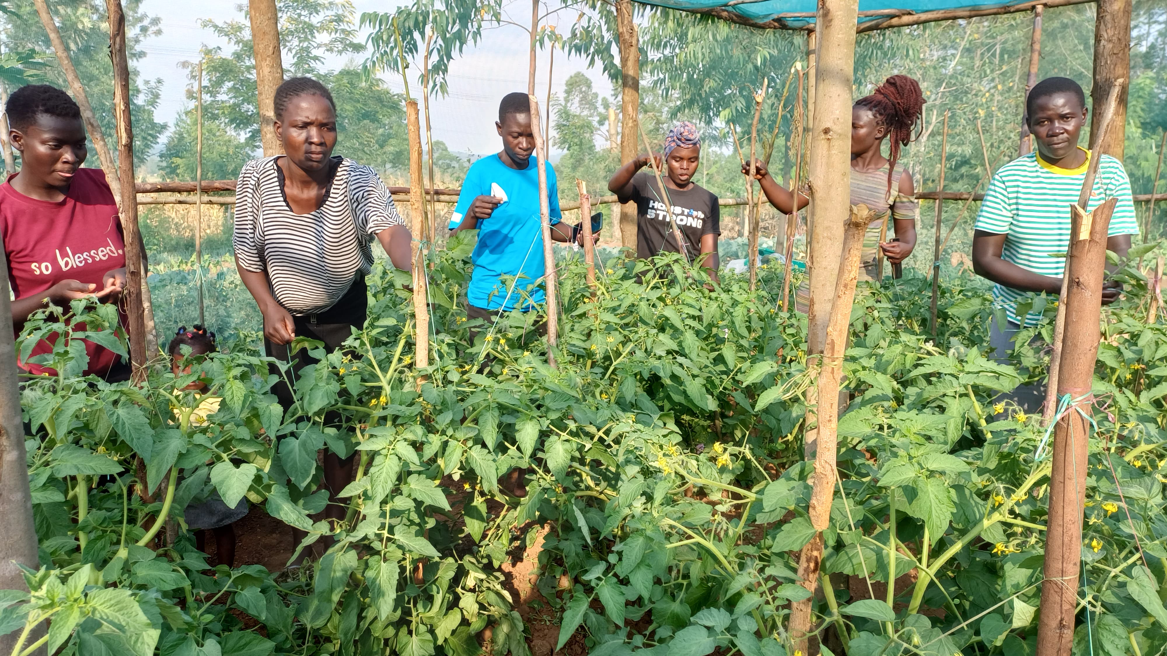 Youth economic empowerment